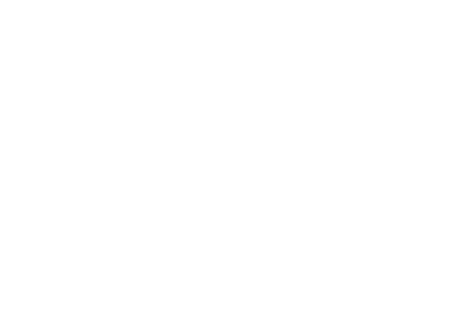 westernunioun